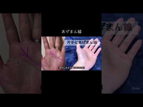 パートナーにあると最高な手相 手相 占い 手相占い 手相鑑定