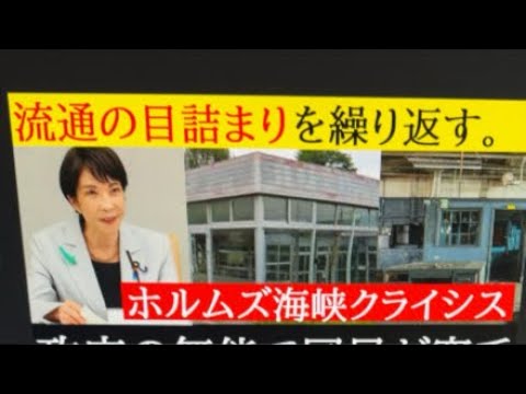 【中堅投資家】日本政府がクライシス サムネイル