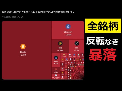 【中堅投資家】アメリカ政府閉鎖：暗号通貨全銘柄暴落続くBTC/ADA/XRP サムネイル