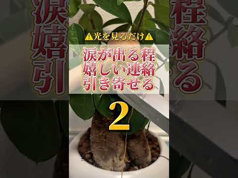 何度も見ると願いが叶いやすくなります。感謝の心も忘れずに願望をコメントをして下さいね。開運  運気  運気上昇 運気ア… サムネイル