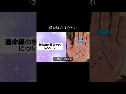 実はかなりすごい運命線の枝分かれについて 占い 手相 手相占い 手相鑑定 サムネイル