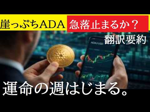 【中堅投資家】カルダノADA運命の1週間下落か急騰か？（翻訳要約） サムネイル