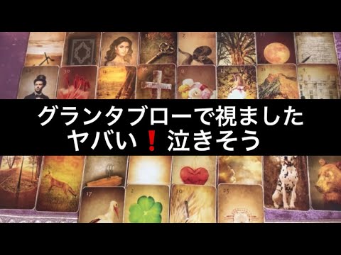 感動の展開【今すぐ見て欲しい❗️】動画を見たタイミングから✨10日間で起こる❤️とんでもない展開⭐️ガッツリ読み解きます サムネイル