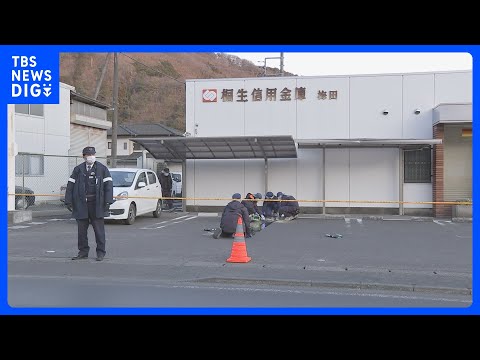 2月の信用金庫強盗事件でベトナム国籍の男を逮捕　拳銃はおもちゃと判明　群馬・桐生市｜TBS NEWS DIG サムネイル