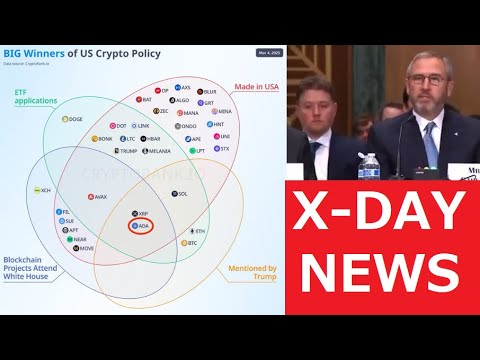 【中堅投資家】BTC/ADA/XRP「今日のニュース」X-DAY サムネイル