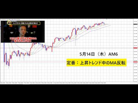 【中堅投資家】FX：与沢翼式トレード