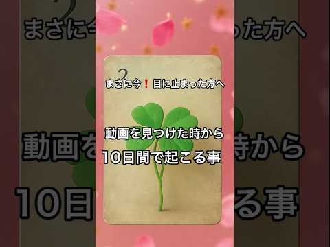 【動画を見つけた時がタイミング】占い タロット ルノルマン美音タロット 美音 サムネイル