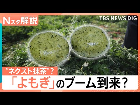 “ハーブの女王”よもぎが“ネクスト抹茶”に？出荷量が過去最高　“ほぼ草”たい焼きにドーナツ…続々進出【Nスタ解説】｜T… サムネイル