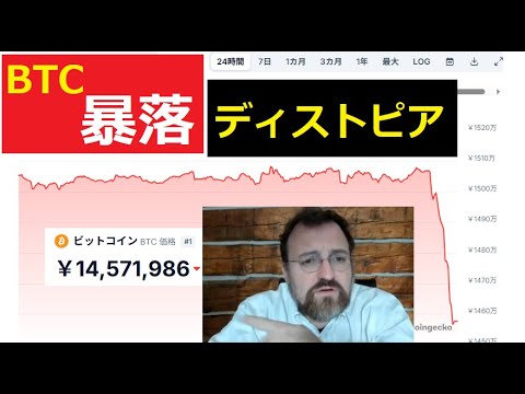 【中堅投資家】ビットコイン暴落とチャールズホスキンソンのディストピア発言