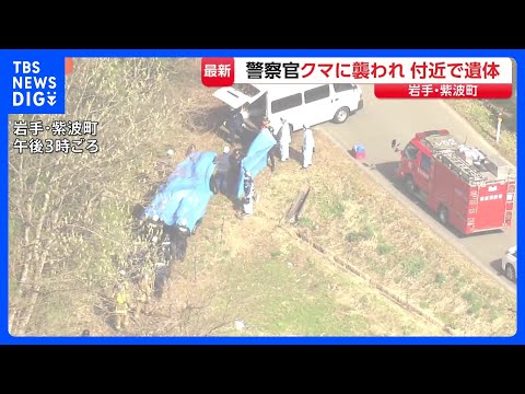 行方不明者捜索中に警察官の男性がクマに襲われけが　現場付近で性別不明の遺体発見 身元の確認急ぐ　岩手・紫波町｜TBS… サムネイル