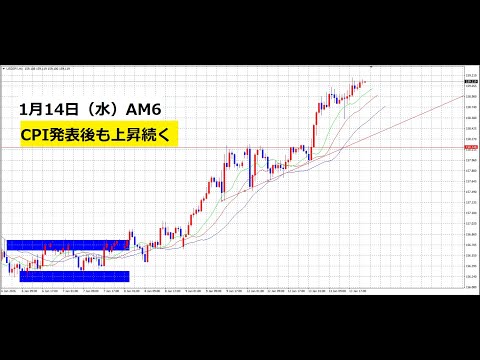 【中堅投資家】FX：CPI解消後もドル高が進行中 サムネイル