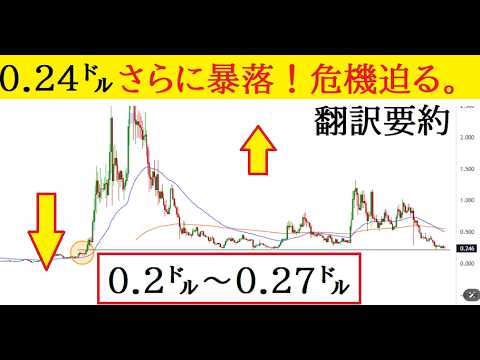 【中堅投資家】ADA急落継続か？それとも反発か？正念場！（翻訳要約） サムネイル