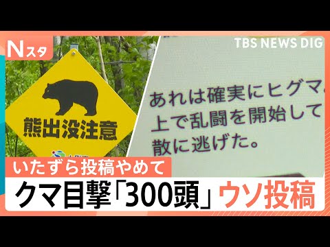 クマ被害相次ぐなか…「クマが線路で乱闘」「300頭目撃した」出没情報にウソ投稿で自治体の業務圧迫も【Nスタ解説】｜TB…