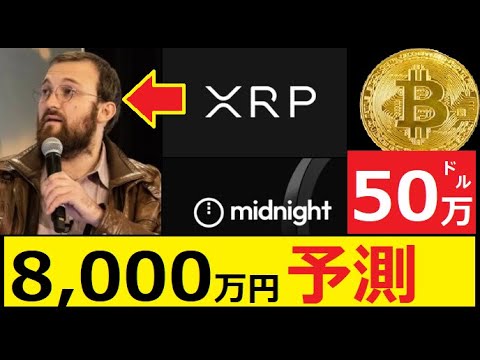 【中堅投資家】チャールズホスキンソン「BTC予測50万ドルを発言」