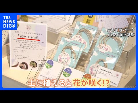 水に浸して土に植えると花が咲く！？不思議な和紙　新たな付加価値とサステナブル【SUNトピ】｜TBS NEWS DIG サムネイル