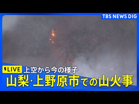 【ライブ】山梨･上野原市で山火事　上空から今の様子（2026年1月9日夕方～夜 LIVE配信）｜TBS NEWS DIG サムネイル