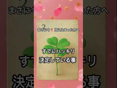 【まさに今❗️目に止まった方へ】 占い タロットルノルマン美音タロット