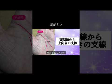 頭がキレて、察しも良い人はこんな手相があります 占い 手相 手相占い 手相鑑定 サムネイル