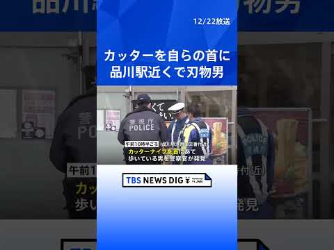 東京・品川駅近くで刃物男 銃刀法違反でスリランカ国籍の23歳男を逮捕　カッターナイフを首にあてて歩き…通行人にけがなし… サムネイル
