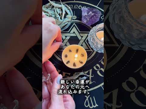 2026年6月15日