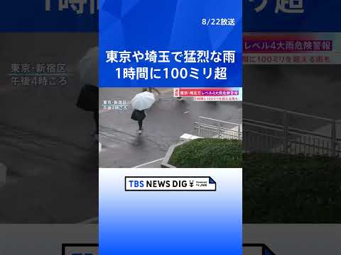 練馬区・白子川で「レベル5氾濫発生情報」 すでに氾濫の可能性も　東京や埼玉では1時間に100ミリを超える猛烈な雨｜TB…