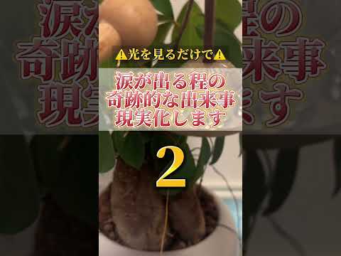 何度も見ると願いが叶いやすくなります。感謝の心も忘れずに願望をコメントをして下さいね。#開運  #運気  #運気上昇… サムネイル