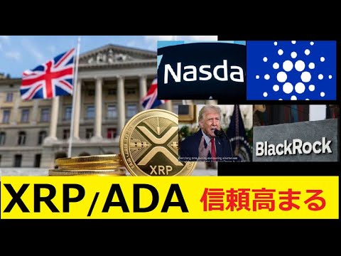 【中堅投資家】XRP/ADAへの信頼さらに高まる。 サムネイル