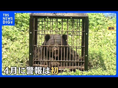 自衛隊員や警察官もクマに襲われ…春グマが異例の早さで出没！青森も岩手も…東北各地でクマ出没警報が過去最速で発表｜TBS… サムネイル