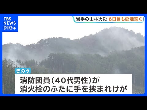 岩手・大槌町山林火災　6日目も延焼続き三陸沿岸道路は一部通行止めに　消防団員1人が消火活動中にけが｜TBS NEWS…