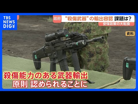 政府 殺傷能力ある武器輸出“原則認める”　安全保障政策の大転換 「同盟国・同志国の抑止力・対処力を強化することが重要」… サムネイル