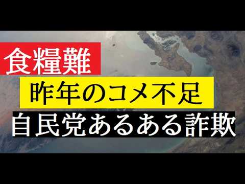 【中堅投資家】ナフサ不足と昨年の米騒動（ホルムズ海峡クライシス） サムネイル