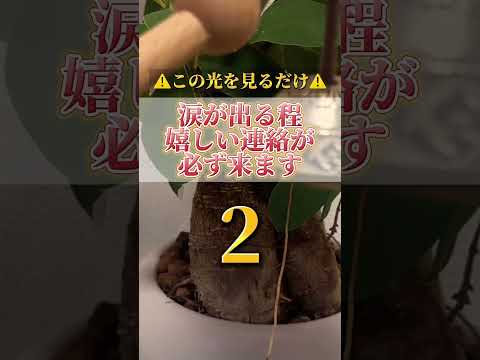 何度も見ると願いが叶いやすくなります。感謝の心も忘れずに願望をコメントをして下さいね。開運  運気  運気上昇 運気ア… サムネイル