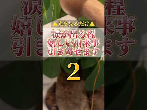 何度も見ると願いが叶いやすくなります。感謝の心も忘れずに願望をコメントをして下さいね。開運  運気  運気上昇 運気ア… サムネイル