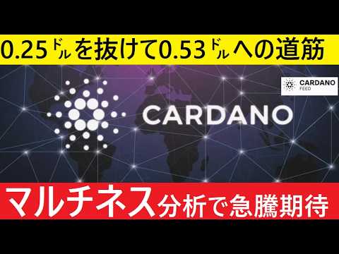 【中堅投資家】ADA0.25㌦からの3度目の急騰（翻訳要約） サムネイル
