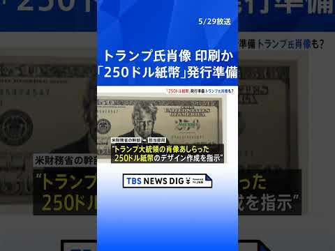 アメリカ「250ドル紙幣」の発行を準備　トランプ大統領の肖像を印刷か　ワシントン・ポスト報道｜TBS NEWS DIG… サムネイル