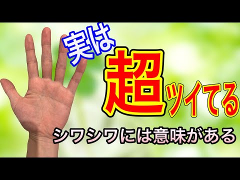 意味がなさそうなのに、実はあるとすごい才能を示していた手相です手相 手相占い 手相鑑定 占い サムネイル