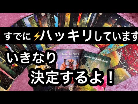 【今日中に見てほしい】すでに⚡️ハッキリ❗️決定していることがあります⭐️ガッツリ読み解きます サムネイル
