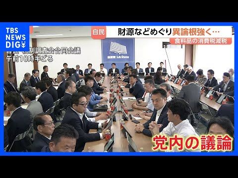 食料品の消費税減税1%引き下げ 賛成意見ある一方…「やっぱり財源がない」 自民党で反対論根強く 来週月曜日も議論の予定…