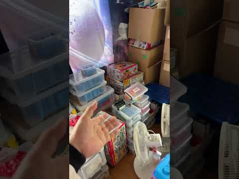 誕生から6歳まで「子供のおもちゃのコスト」ライブ ハイライト サムネイル