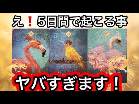 【目に止まった方へ】５日間で😳ものすごいことが起こります✨❤️現実が大きく動きます⭐️ガッツリ読み解きます サムネイル