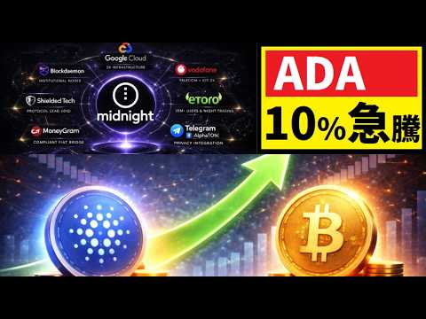 【中堅投資家】ADAたった一日で10％急騰のカラクリ（翻訳・要約）