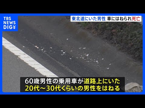 東北道で道路上にいた男性を乗用車がはねる　男性は死亡　警察は男性が高速道路にいた経緯など捜査　埼玉・蓮田市｜TBS N… サムネイル