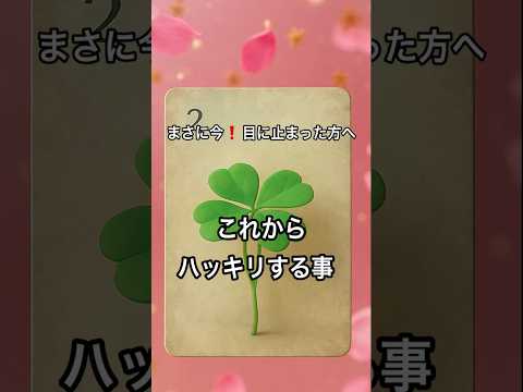 【まさに今❗️目に止まった方へ】 占い タロット美音タロットルノルマン サムネイル