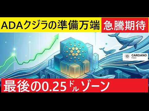 【中堅投資家】売り圧力枯渇「急騰直前のサイン」オンチェーンデータより（翻訳要約） サムネイル