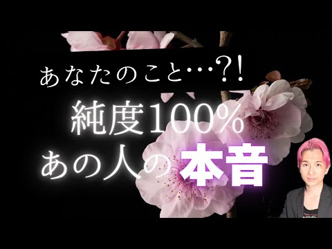 純度100%🌹あなたに対するあの人の本音🥰ドキドキするほどの‥【男心タロット、細密リーディング、個人鑑定級に当たる占い】 サムネイル