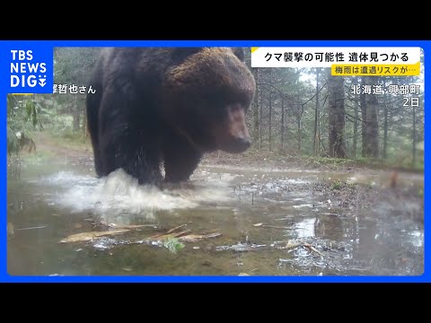岩手・クマに襲われ男性（85）死亡か…相次ぐ被害 ヒグマをパンチで撃退？恐怖の攻防劇　“梅雨”に向け必要な注意も【ne…