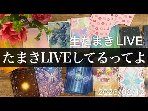 生たまきLI VE突然たまき！【タロット占い的ストーリーテリング】 サムネイル