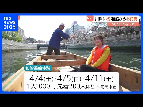 東京満開 にぎわう桜並木、川岸に桜 和船からお花見【SUNトピ】｜TBS NEWS DIG サムネイル