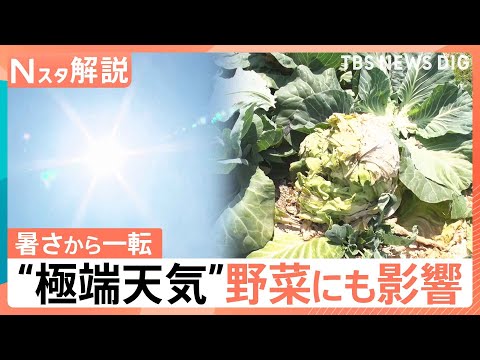 異例の暑さから一転…“極端天気”21日（木）から気温急降下、24日（日）頃から1週間 “10年に1度”の著しい高温【N…