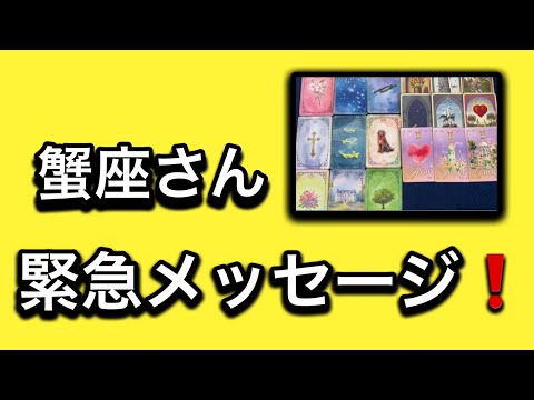 【最高の1月を迎えた✨蟹座さんへのメッセージ💌】⚡️😱全体運⭐️仕事運⭐️恋愛運🩷人間関係🩷ガッツリ読み解きました🃏 サムネイル